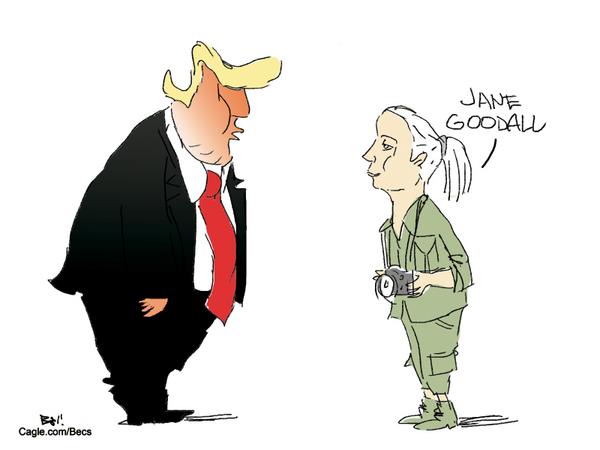 Jane Goodall