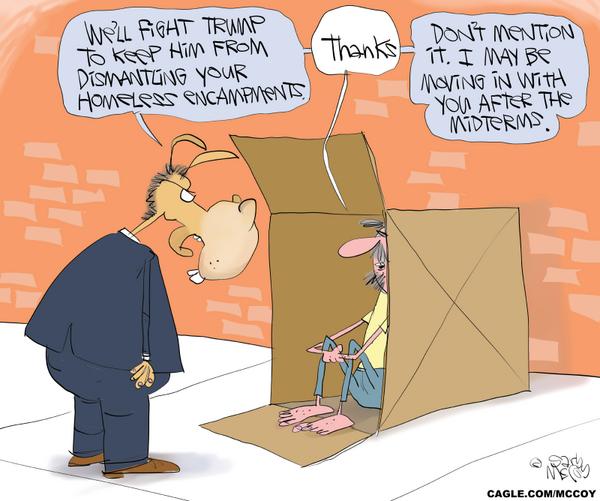 Trump Dismantles Homeless Encampments