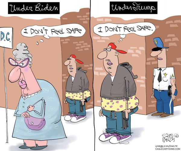 click or tap to zoom Trump Makes DC Safe