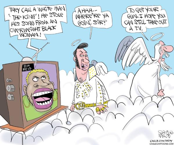 Joy Reid Criticizes Elvis