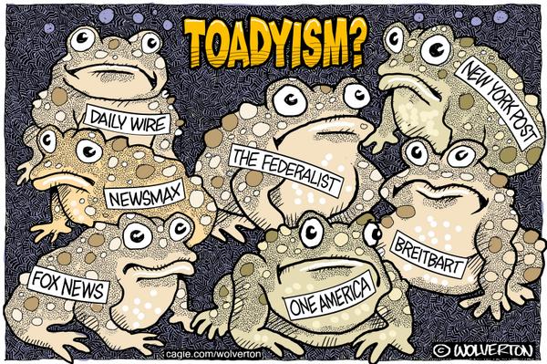 The Most Toady News Outlets