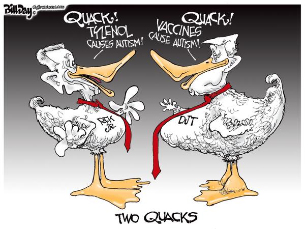 click or tap to zoom Two Quacks