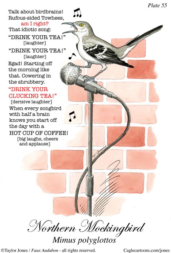 Bird humor - mockingbird