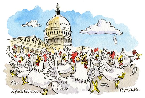 click or tap to zoom Congress Chickens Out, Too