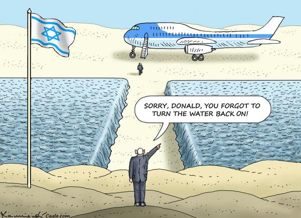 click or tap to zoom FORGETFUL TRUMP