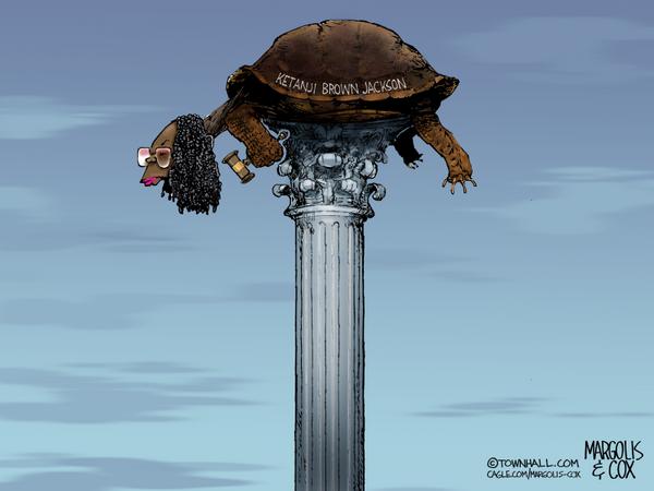 click or tap to zoom Justice Jackson the Post Turtle