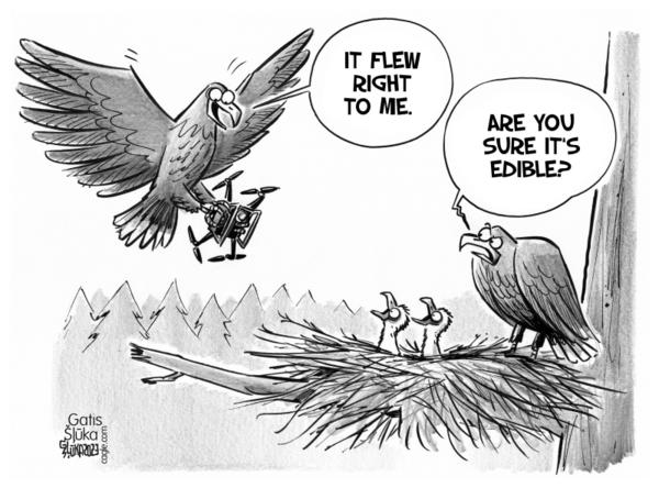 click or tap to zoom Eagles in the nest with a captured drone