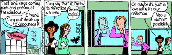 Barney & Clyde for 11/17/2025