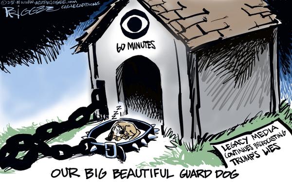 CBS, 60 Minutes, Guard Dog House, Big Beautiful