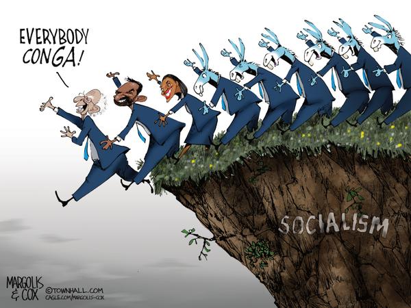Democrats Marching Off the Cliff of Socialism