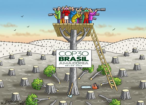 LOOKING FOR SOLUTIONS AT COP 30