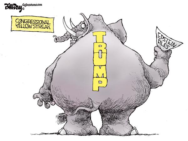 Congressional Yellow Streak