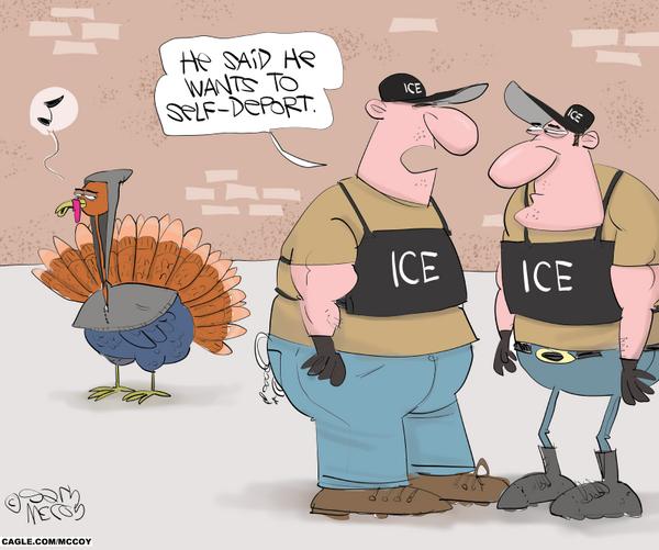 Turkey's Attempt To Avoid Thanksgiving