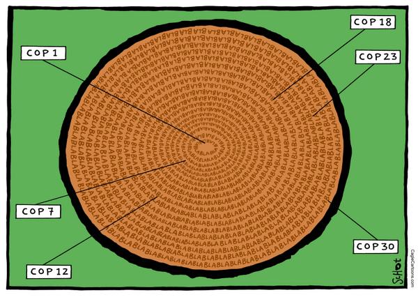 Rings of the tree cut for climate summit