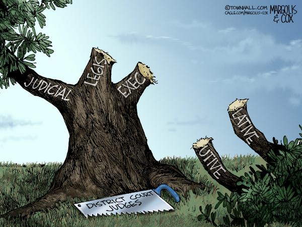 Rogue Judges Cut Off the Branches of Government