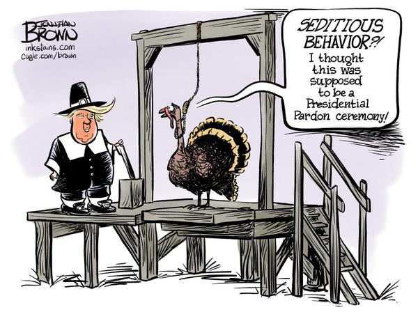 No pardon for turkey, hangs for seditious behavior
