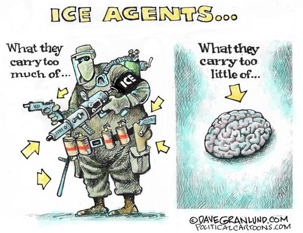 ICE agent actions