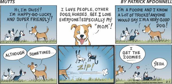 Mutts for 2/1/2026