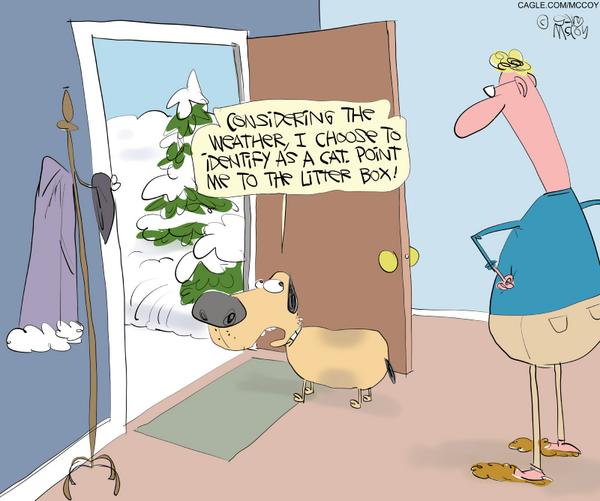 Weather Changes Dog's Mind