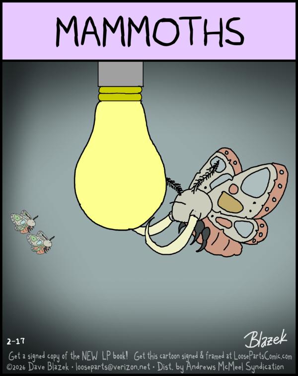 Loose Parts for 2/17/2026