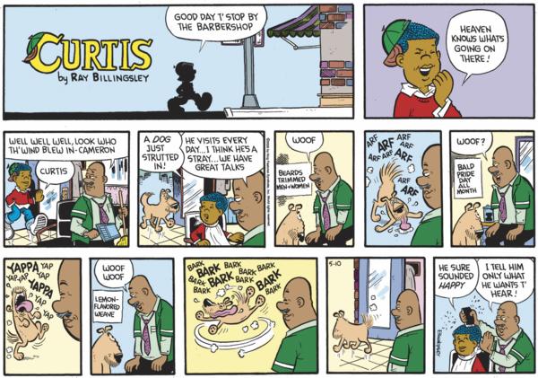Curtis for 5/10/2026