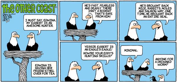 The Other Coast for 5/17/2026