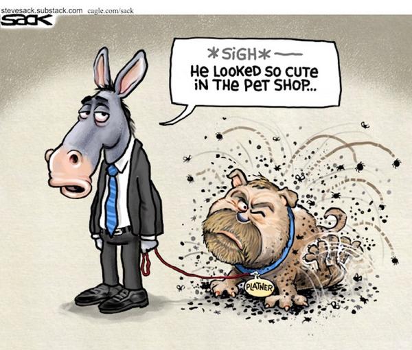 Donkey Regrets Pet Shop Purchase