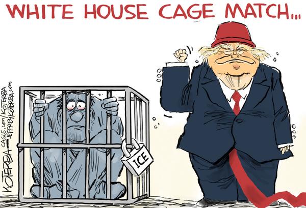 White House Cage Match