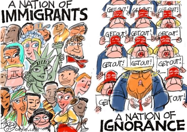 Immigration Divide