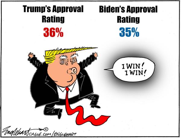 Trump Vs Biden Approval Polls