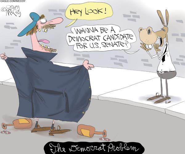 Flasher Recruited as Democrat Senate Candidate