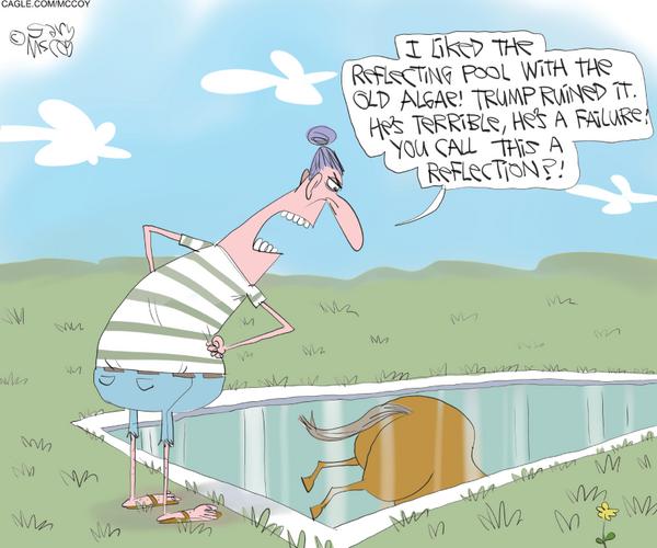 Reflection of Reflecting Pool Critics