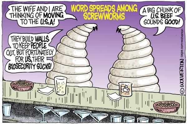 Screwworms Discuss Move to USA