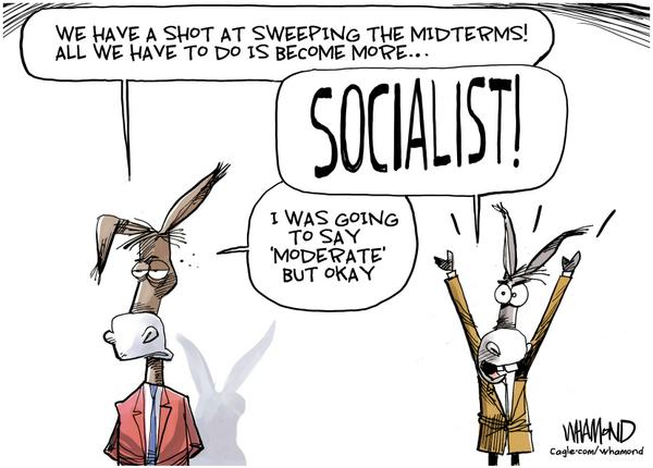 Democrats Debate Socialist Midterm Strategy
