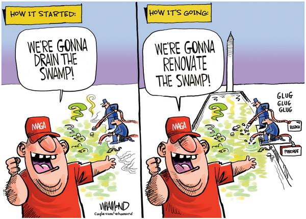 The New Swamp