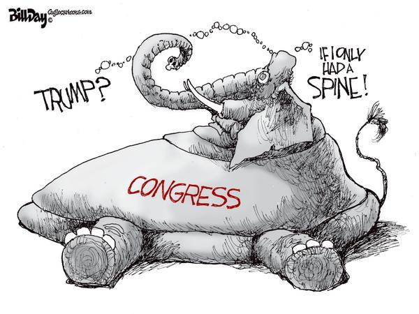 Spine Needed