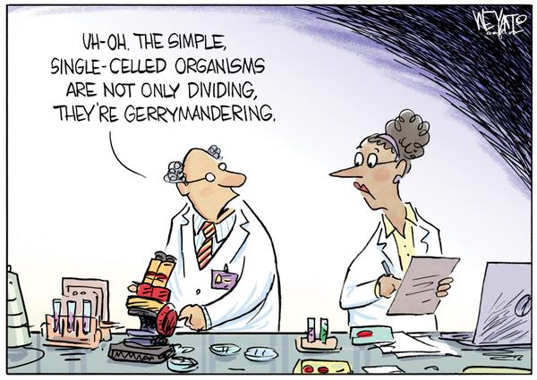 Micro Gerrymandering