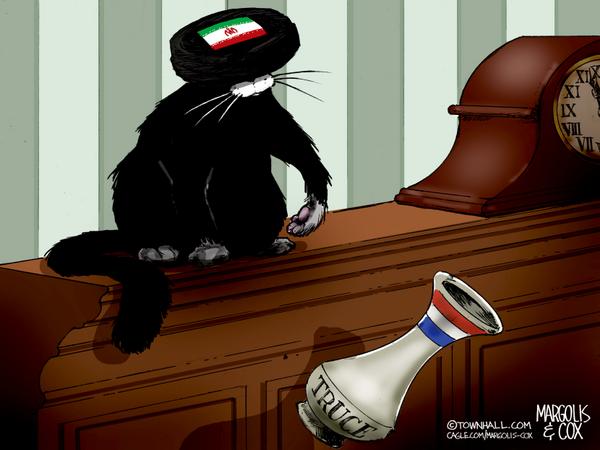 Iran Flag Cat Topples Truce Vase
