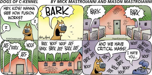 Dogs of C-Kennel for 7/19/2026