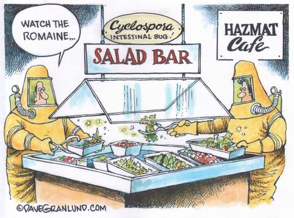Hazmat Suits at Cyclospora Salad Bar