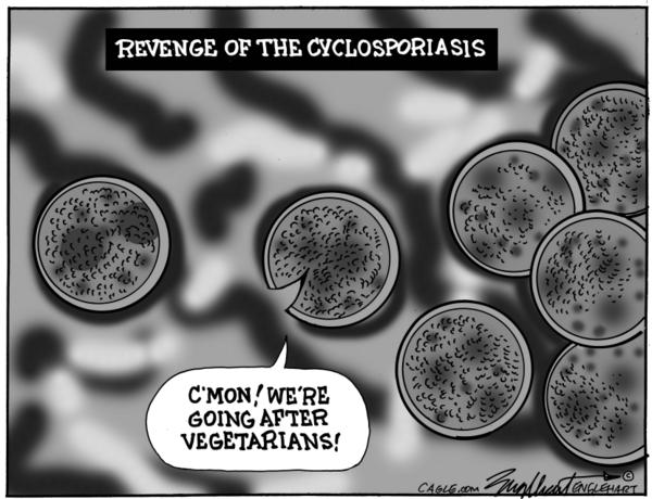 Cyclosporiasis Parasites Target Vegetarians