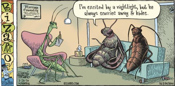 Bizarro for 7/26/2026