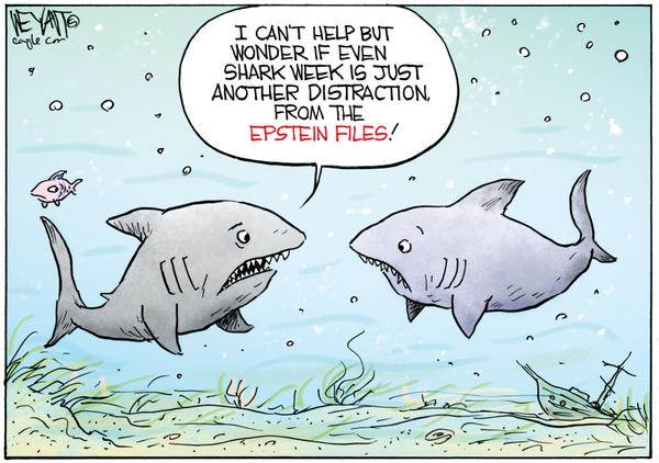Sharks Question Shark Week Epstein Distraction