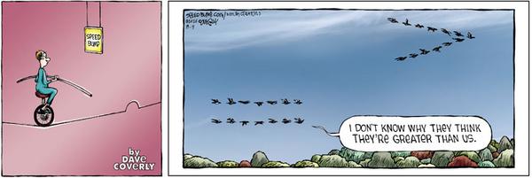 Speed Bump for 8/9/2026