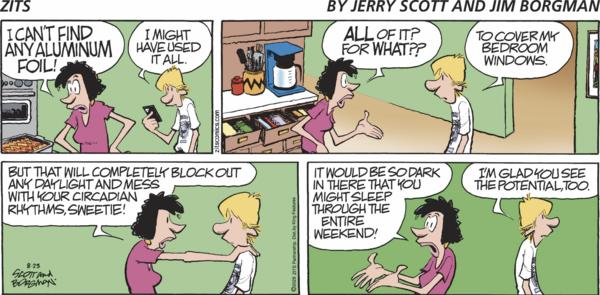 Zits for 8/23/2026