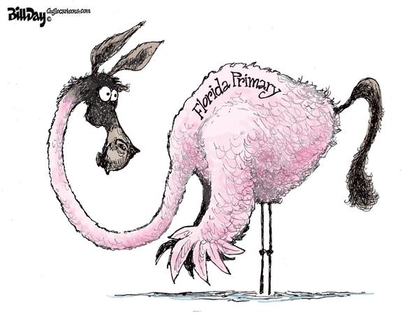 Florida Primary Donkey Flamingo Hybrid