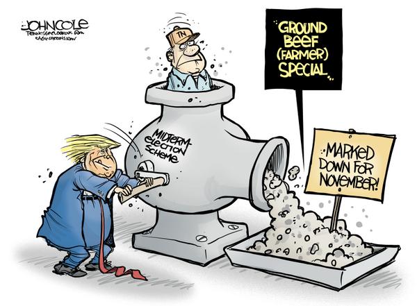 Trump Grinds Farmer in Midterm Scheme