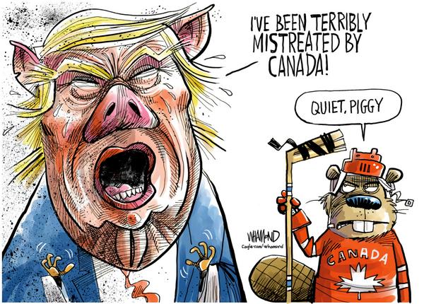 Trump Accuses Canada of Mistreatment