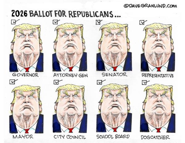2026 midterm Ballot for Republicans
