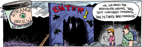 Strange Brew for 9/20/2026